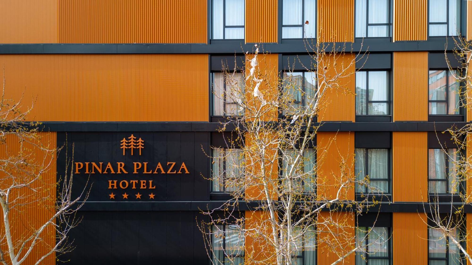 Hotel Pinar Plaza マドリード エクステリア 写真
